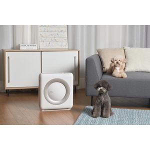 Coway AP-1512HH Airmega Mighty - Luftreiniger - view 8