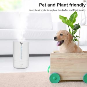 Uten - E1637 - view 4