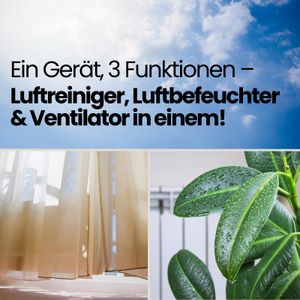 Steba AW 6M - view 6