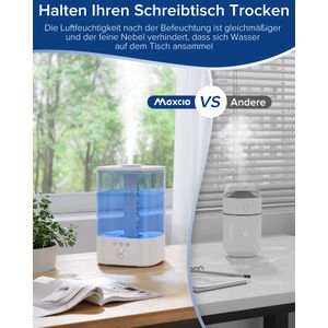 Maxcio - YuO-15 - view 6