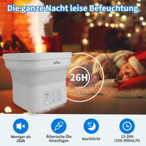 Bear - JSQ-G40K1 - view 6