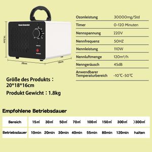 Kasakily Ozongenerator 30000mg/Std - view 6