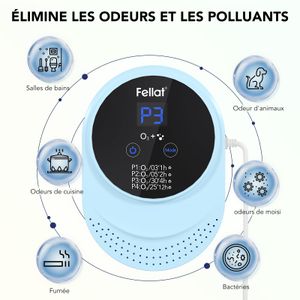 FELLAT Ozongenerator - view 3