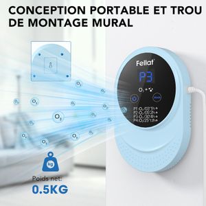 FELLAT Ozongenerator - view 4