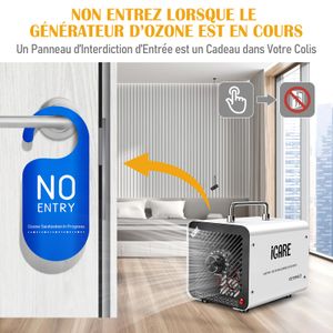 ICARE Ozongenerator 30000mg/h - view 7