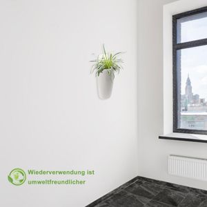 WISDOMWELL - TCSRQ-1 - view 7