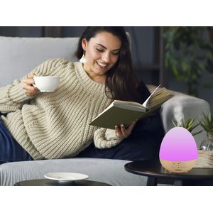 BEPER - P205DIF001 - view 10