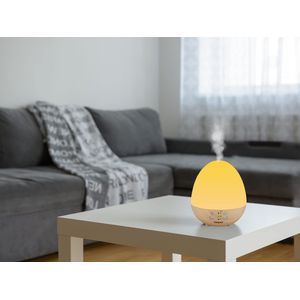 BEPER - P205DIF001 - view 9