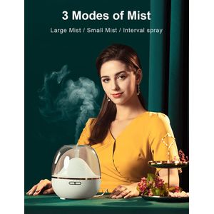 Ankrs - GXZ-X909 - view 6