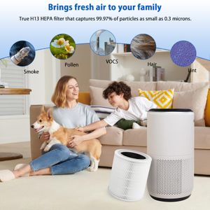 iAmoy Filtro de Repuesto para LEVOIT Core 400S - view 7