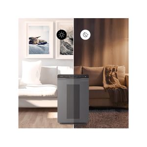 Winix 5300-2 - view 10