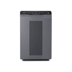 Winix 5300-2 - view 1