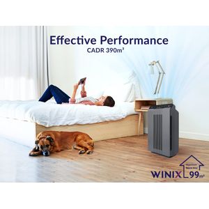 Winix 5300-2 - view 5