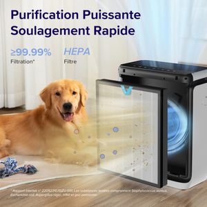 LEVOIT Vital 200S - view 6