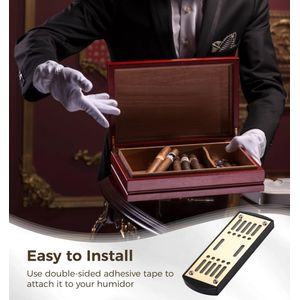 Chewtoyo - A187L245QX05QOSG4A0 - view 7