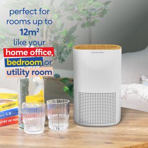 Russell Hobbs RHAP1032WDW - view 6