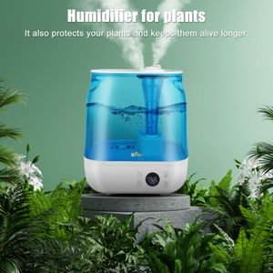 Bear - Humidifier - view 8